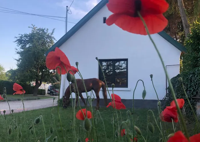 Ezuestkengyel Apartman